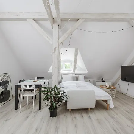 Scandinavian Loft By Bookinghost פוזנן