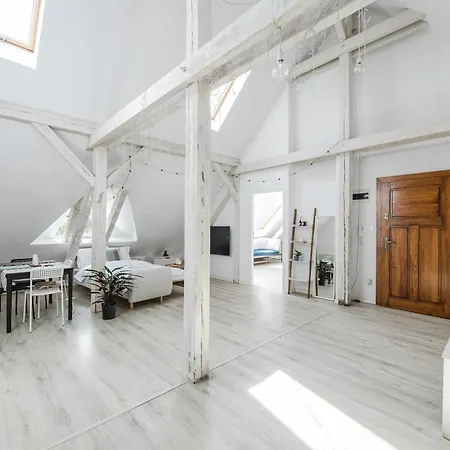 Scandinavian Loft Apartamento