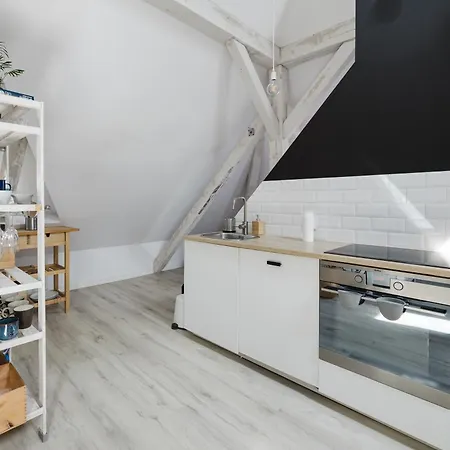 Scandinavian Loft By Bookinghost פוזנן